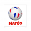 8 Tatouages  personnaliser - Ballon Foot France