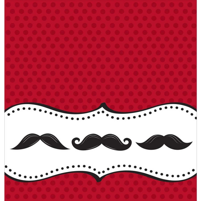 Nappe Moustache Party 