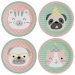 Bote  Fte Hello Pets. n1
