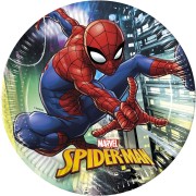Grande boîte à fête Spiderman Team